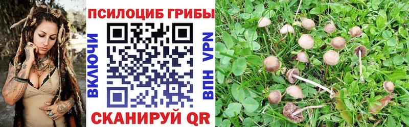 магазин    Балахна  мега ссылки  Галлюциногенные грибы мухоморы 