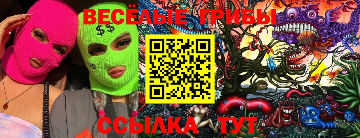 Балахна  Псилоцибиновые грибы Magic Shrooms  Вход с VPN 