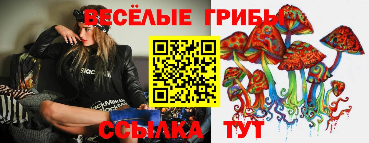 Галлюциногенные грибы Psilocybine cubensis Балахна