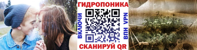 где продают   Балахна  Конопля ГИДРОПОН 